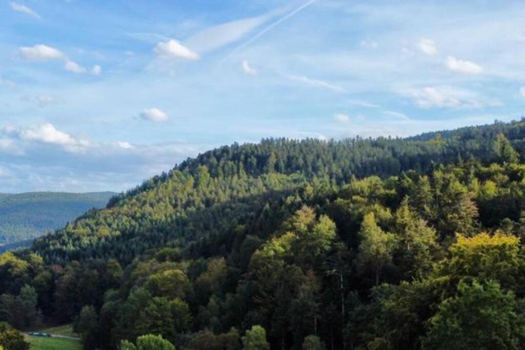 Wohnen Im Schwarzwald Mit Panoramablick Apartment Bad Herrenalb Exterior photo